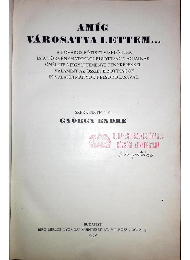 Amíg városatya lettem... - Image 2